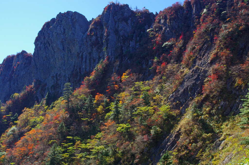 石鎚北面の秋