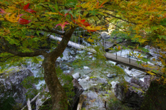 渓谷の吊り橋