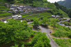 茶畑の村