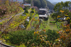 山里の春