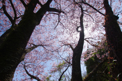 光と陰