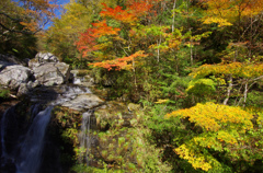 秋色の渓谷