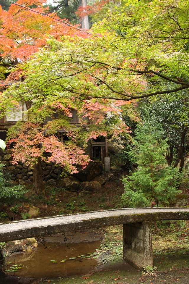 谷汲の紅葉