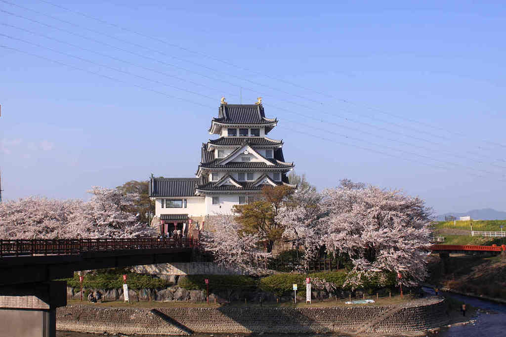 墨俣一夜城と桜