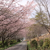 尾崎南運動公園