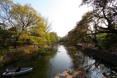 実家近くの公園