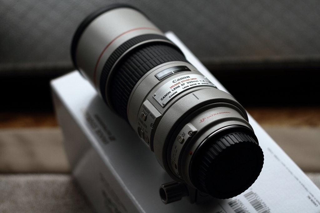 EF300 F4L IS USM