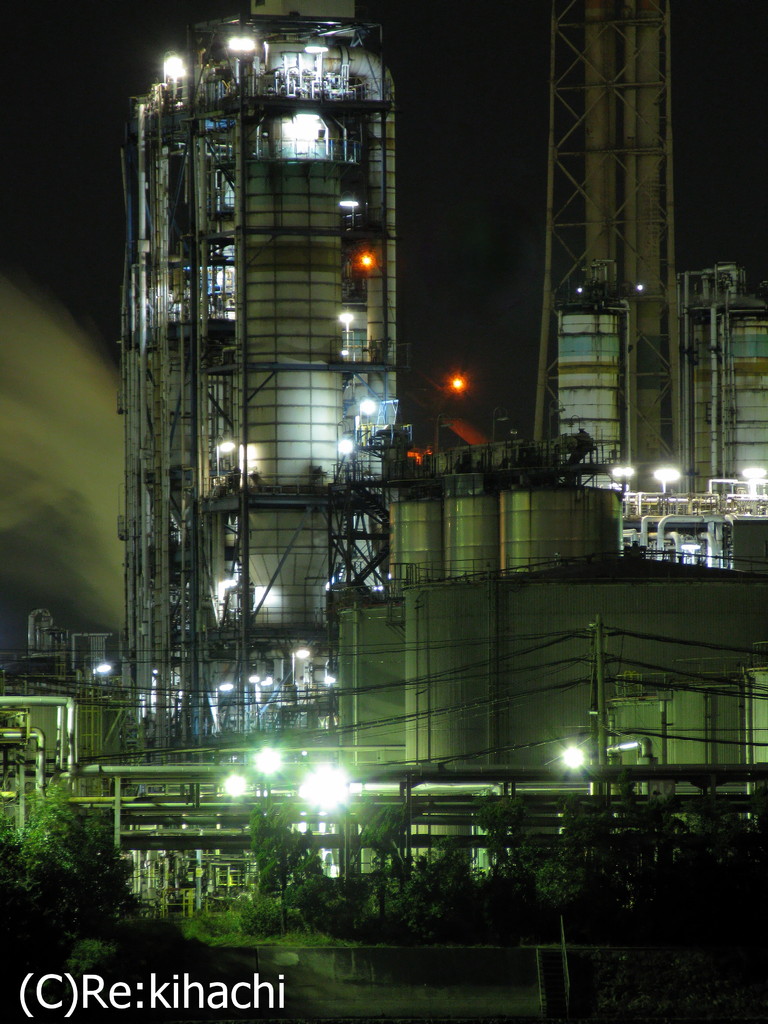 Night View Of Plant