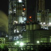 Night View Of Plant