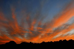 焼ける空。