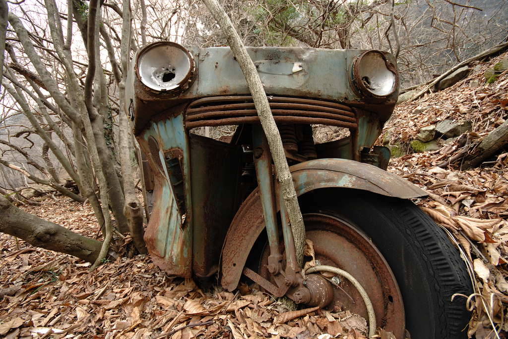 DSC_8853_half
