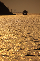 錦海（キンカイ）