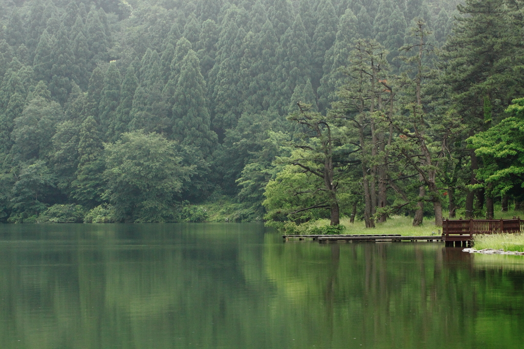 静かな湖畔の森の影から♪