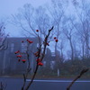 冬の予感