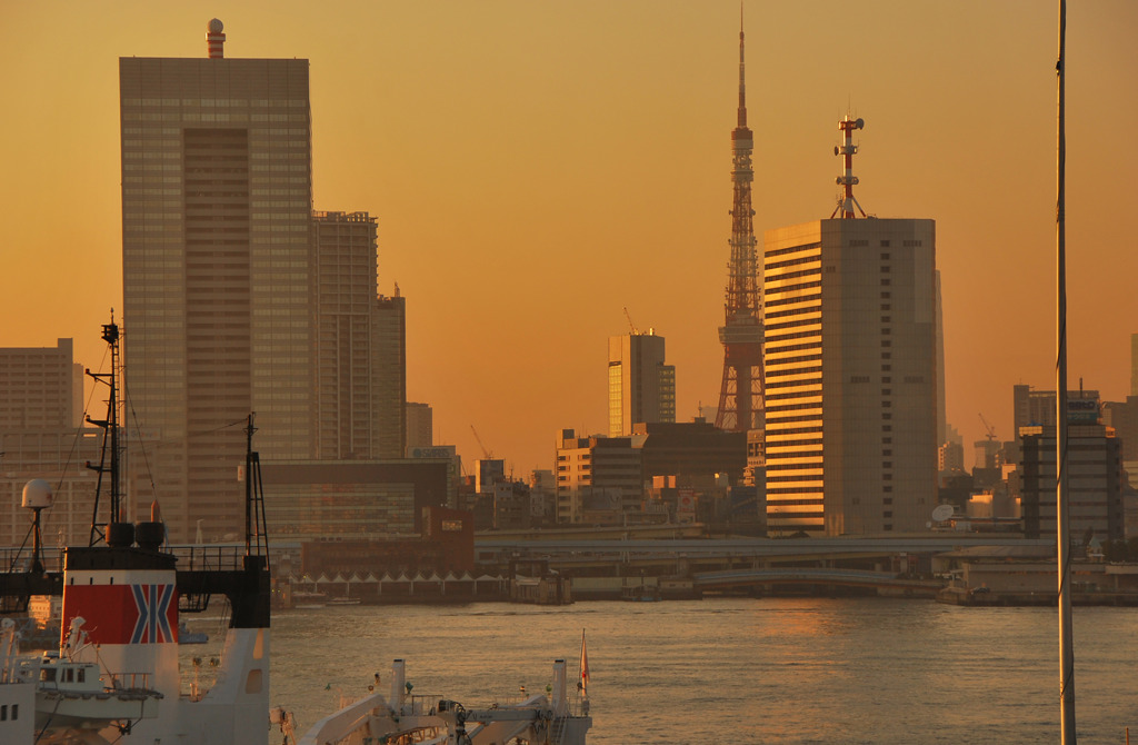 晴海からの東京タワー