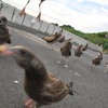 えびせんハンター