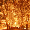 SENDAI PAGEANT OF STARLIGHT