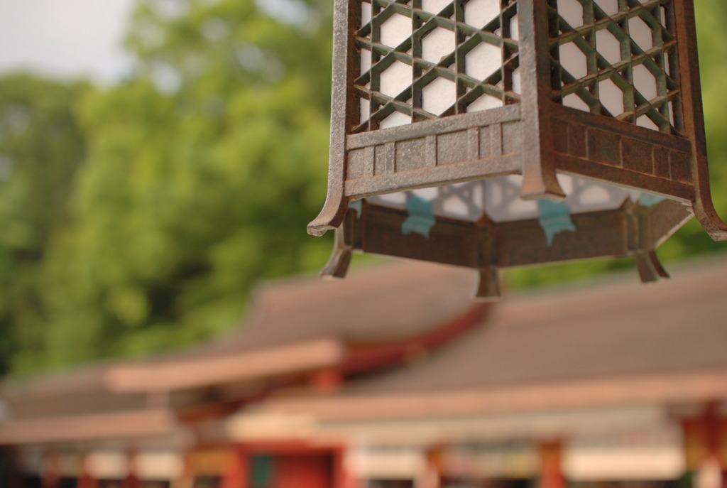 初夏の参拝