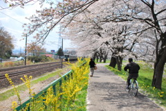 東北本線