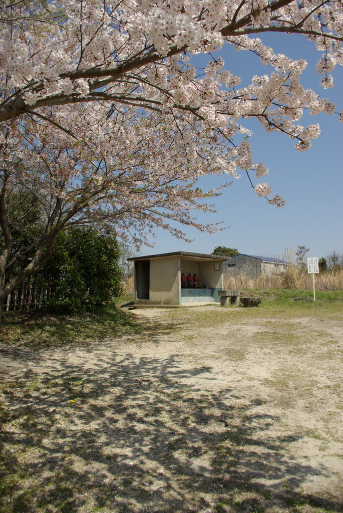 SAKURA地蔵