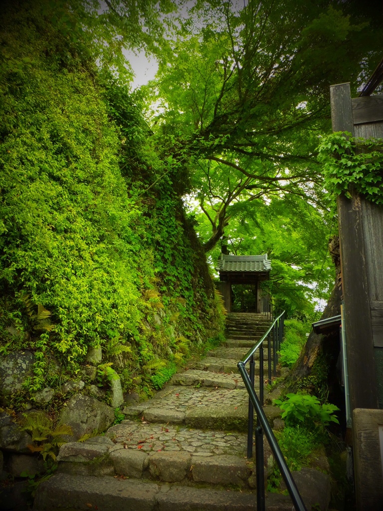 有馬温泉 善福寺