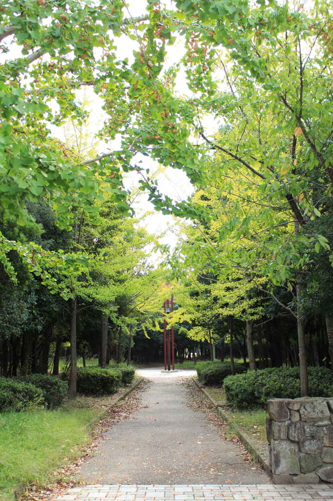 紅葉間近