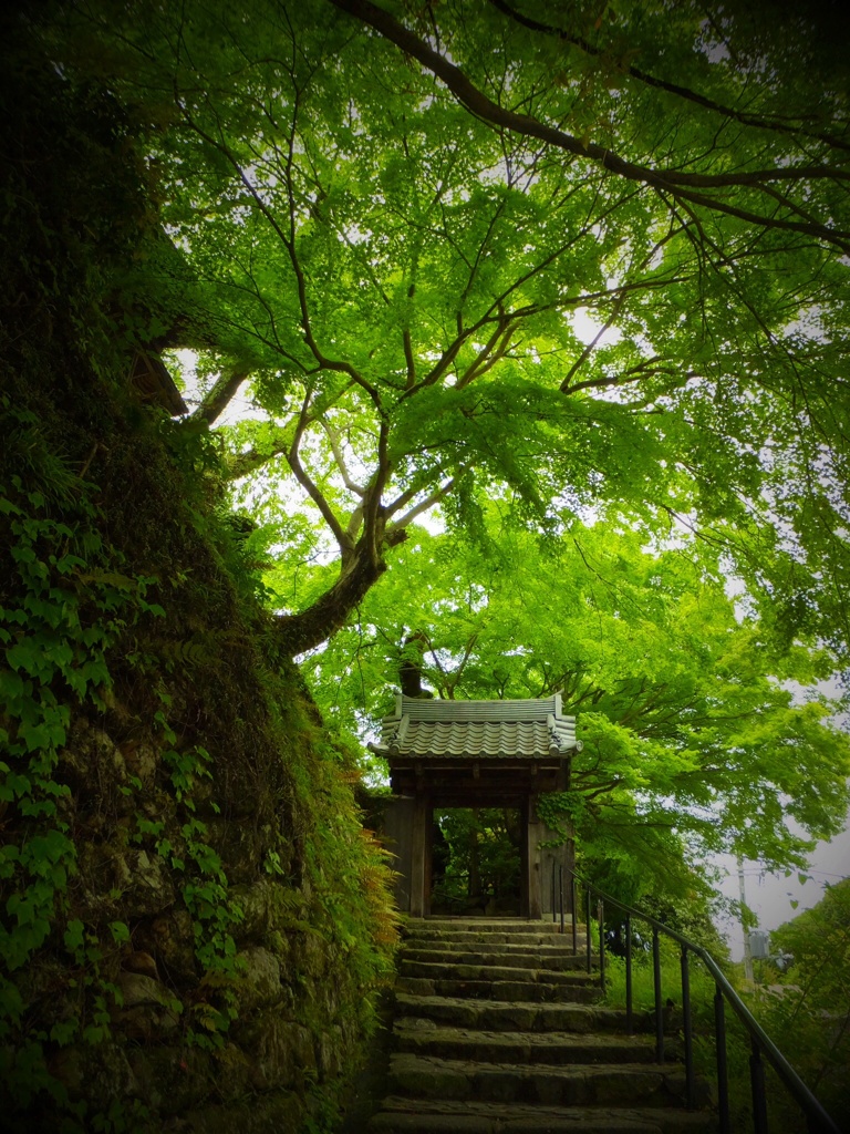 有馬温泉 善福寺