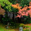 雨の京都　三　～清凉寺～