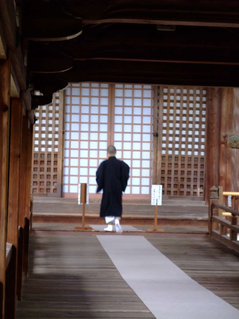 雨の京都　一　～清凉寺～