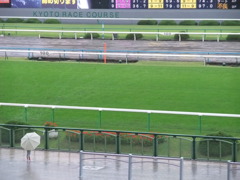 お馬さん、まだかな・・・　（京都競馬場）