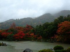 雨の京都　六　～天龍寺～