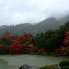 雨の京都　六　～天龍寺～