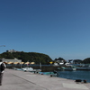 勝浦漁港にて