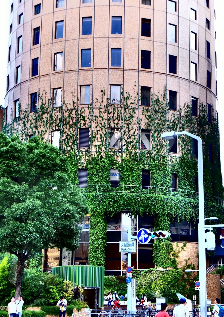 丸ビルに絡まる命