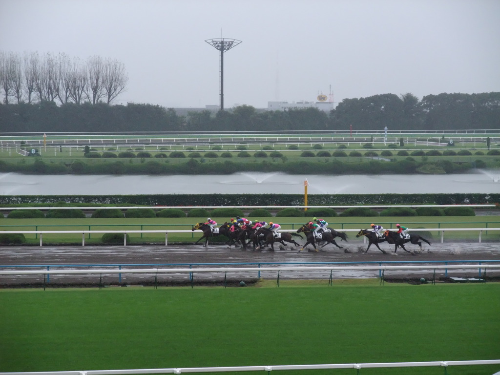 疾走　（京都競馬場）