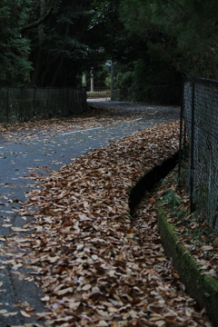 帰り道