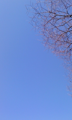 降ってくる青。