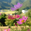 おしゃべり