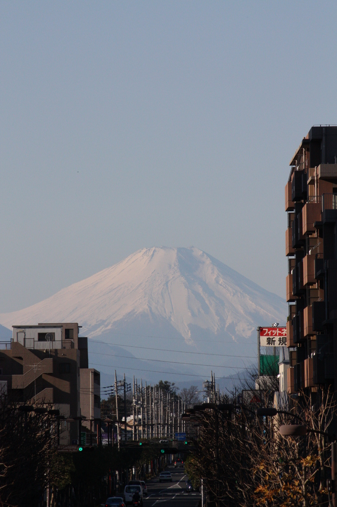 朝の富士