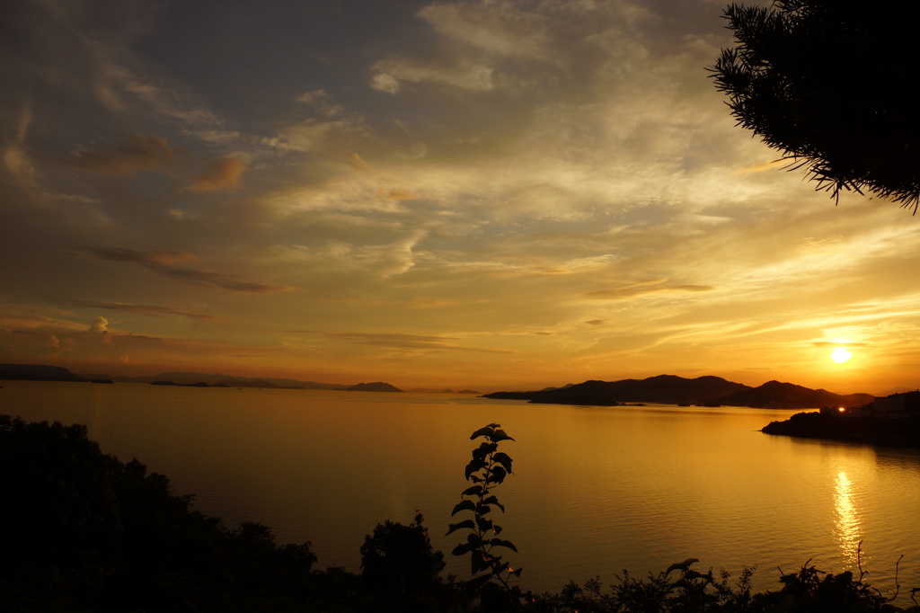 瀬戸内の夕日