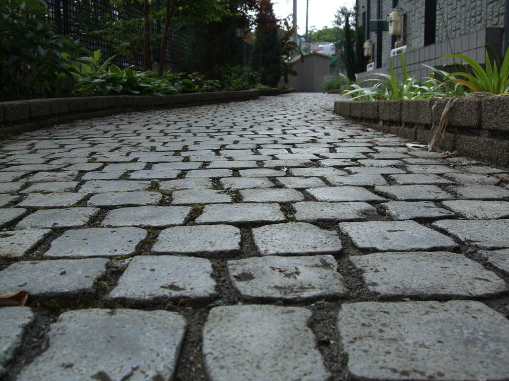 DSCF1373