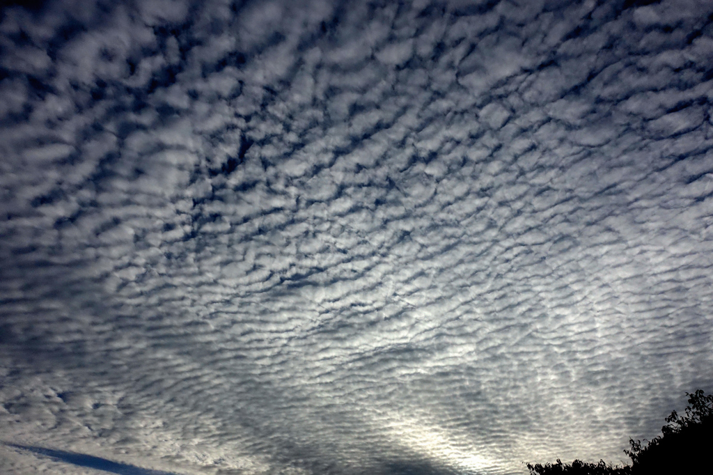 今年の秋空