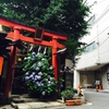 裏路地の六月