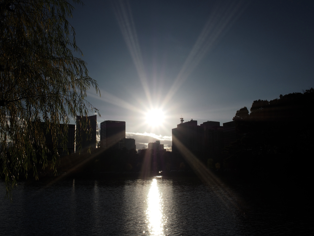 from the sun