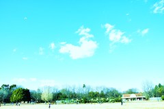 いい天気