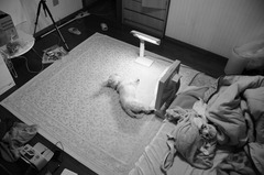DSC_1464
