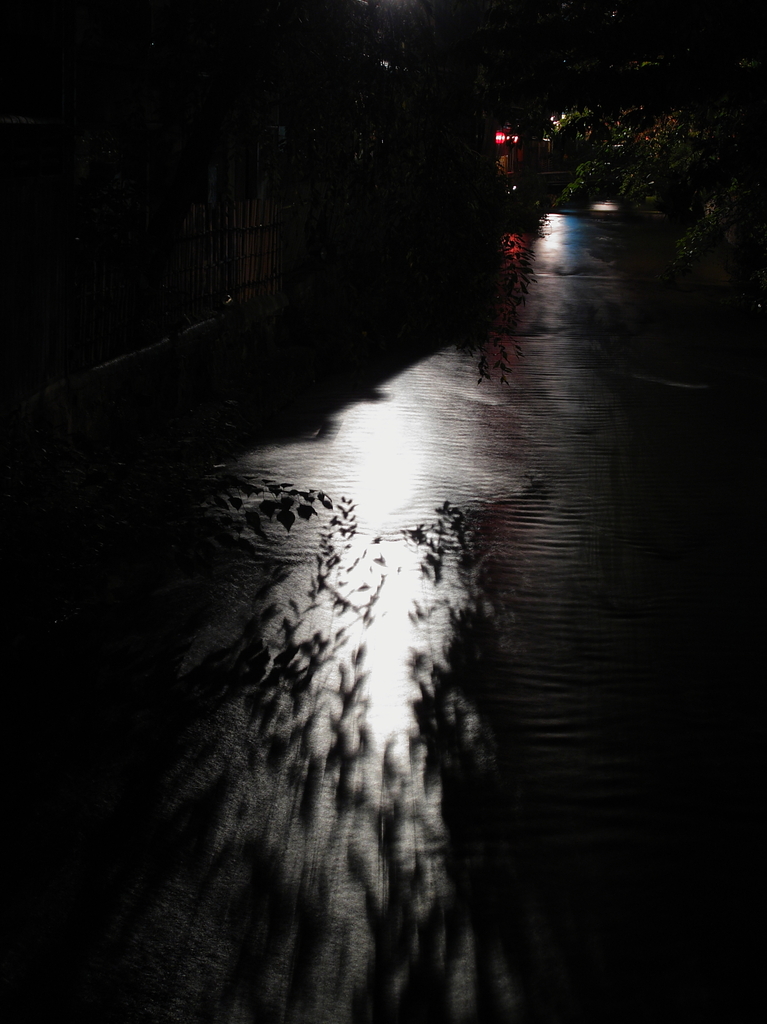 京の光
