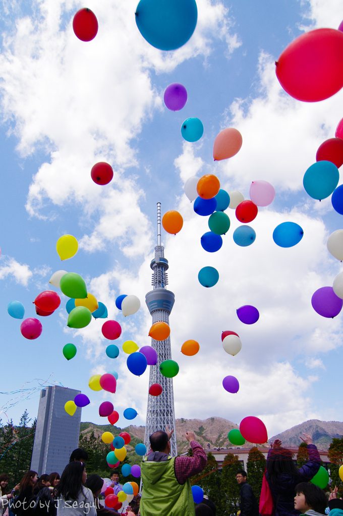 祝！ 東京スカイツリー開業！