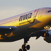 GOLDEN-WING