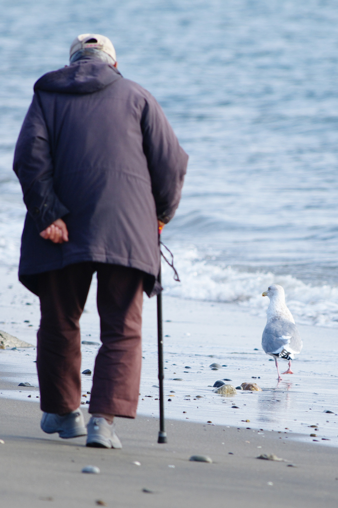 おじいさんと散歩
